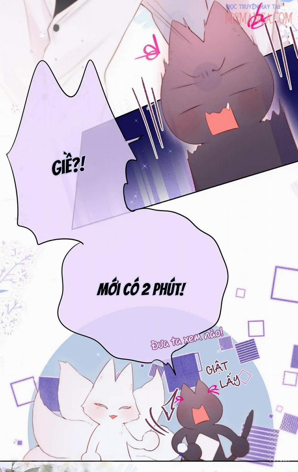 Cạm Bẫy Của Hồ Ly 12.5 trang 5