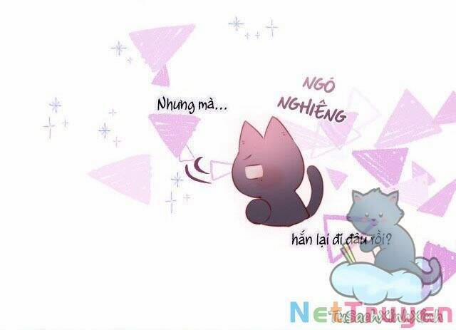 Cạm Bẫy Của Hồ Ly 13 trang 13