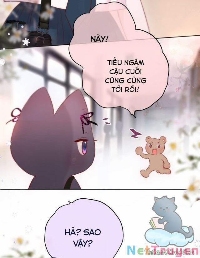 Cạm Bẫy Của Hồ Ly 13 trang 16