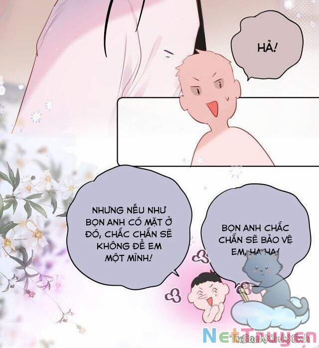 Cạm Bẫy Của Hồ Ly 13 trang 26