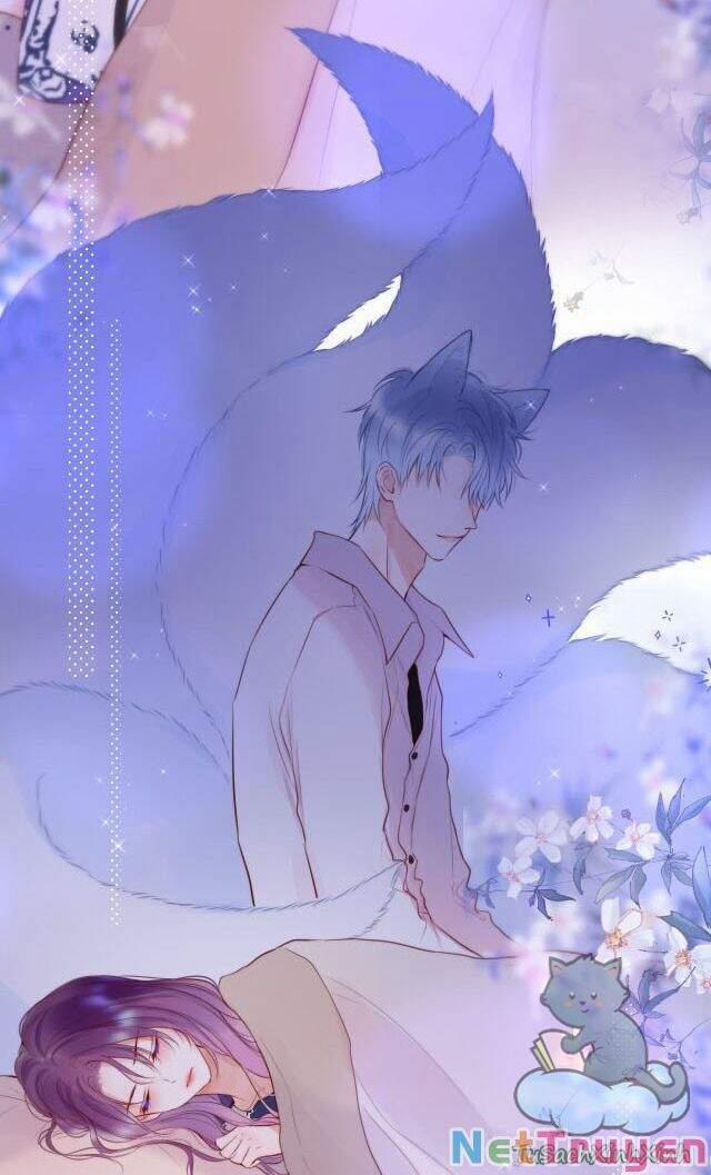 Cạm Bẫy Của Hồ Ly 13 trang 3