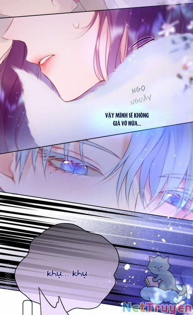 Cạm Bẫy Của Hồ Ly 13 trang 4