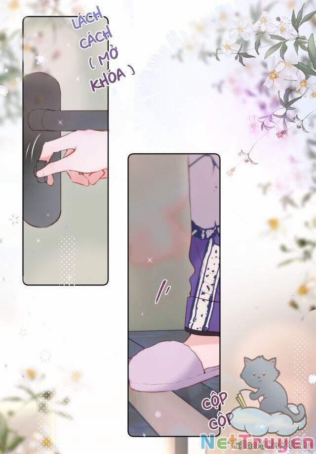 Cạm Bẫy Của Hồ Ly 13 trang 7