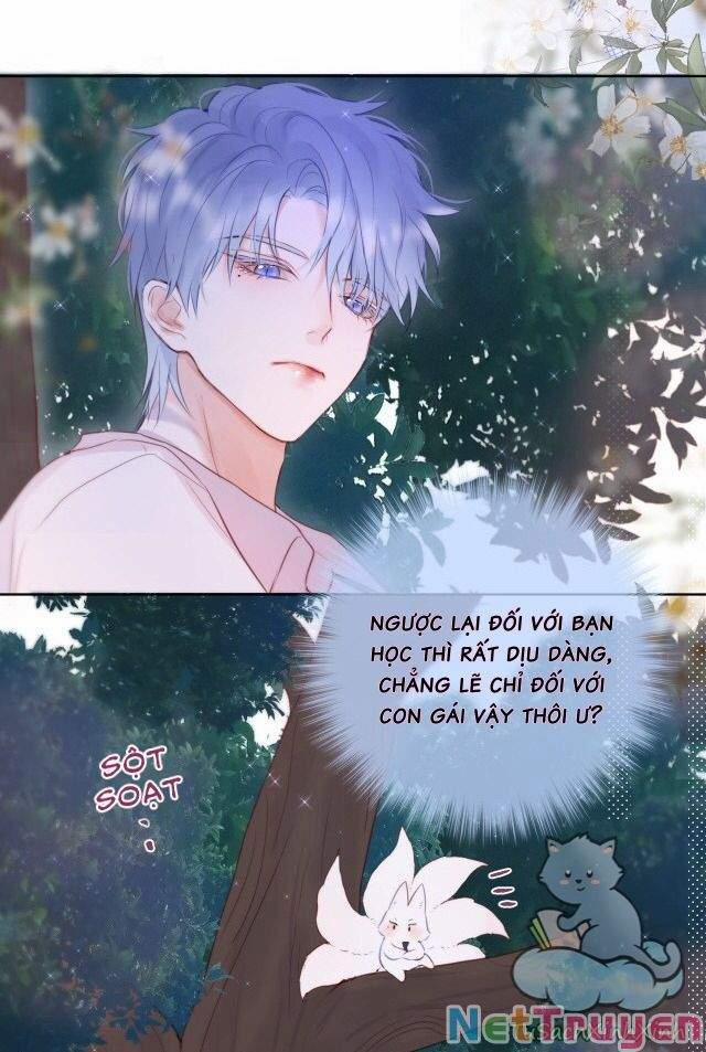 Cạm Bẫy Của Hồ Ly 14 trang 19