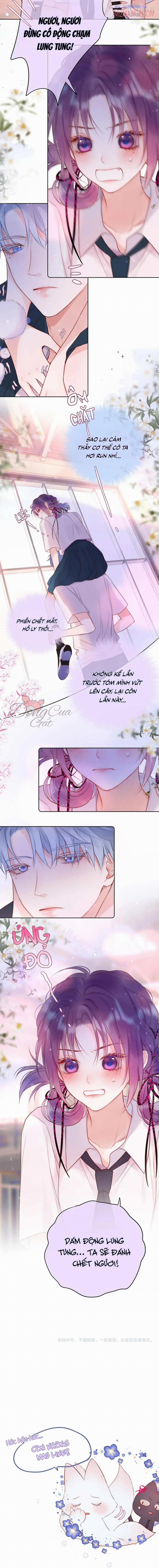 Cạm Bẫy Của Hồ Ly 17.5 trang 4