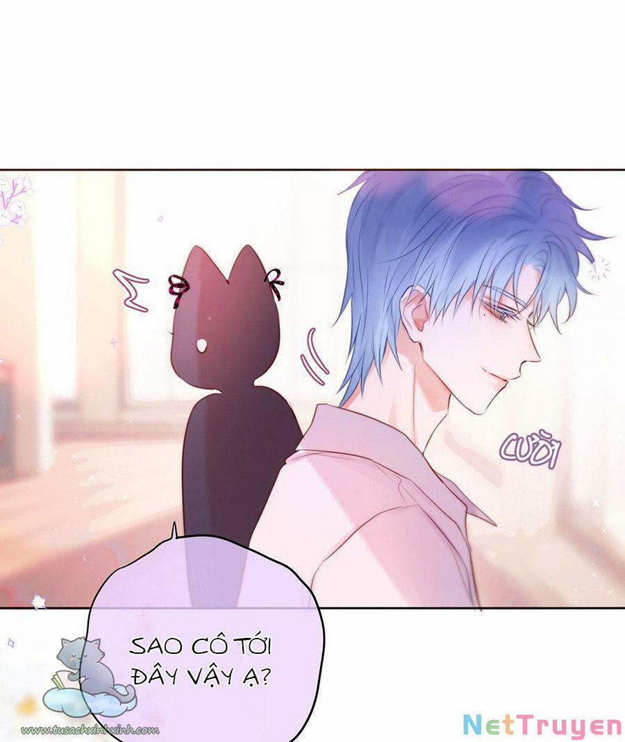 Cạm Bẫy Của Hồ Ly 17 trang 11