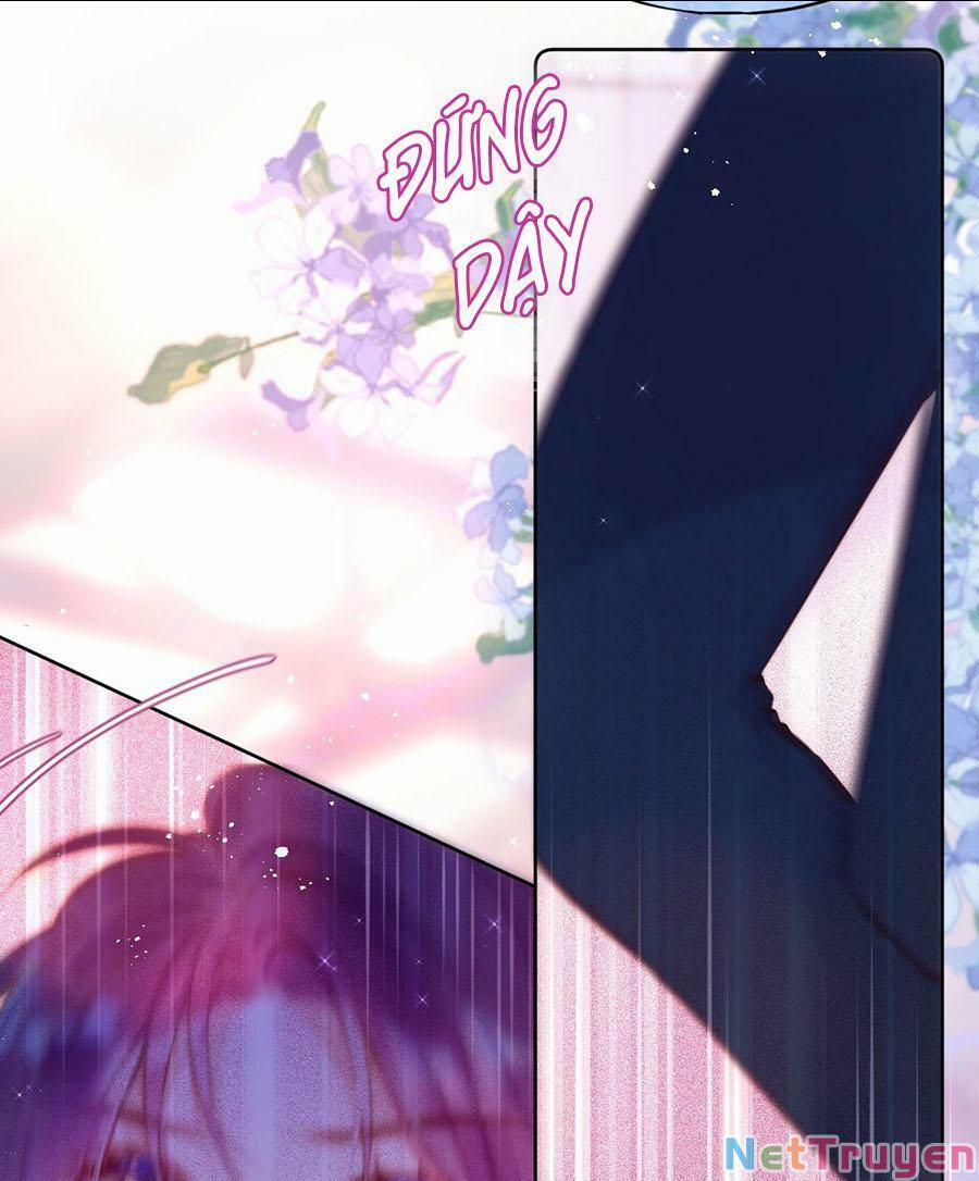 Cạm Bẫy Của Hồ Ly 17 trang 29