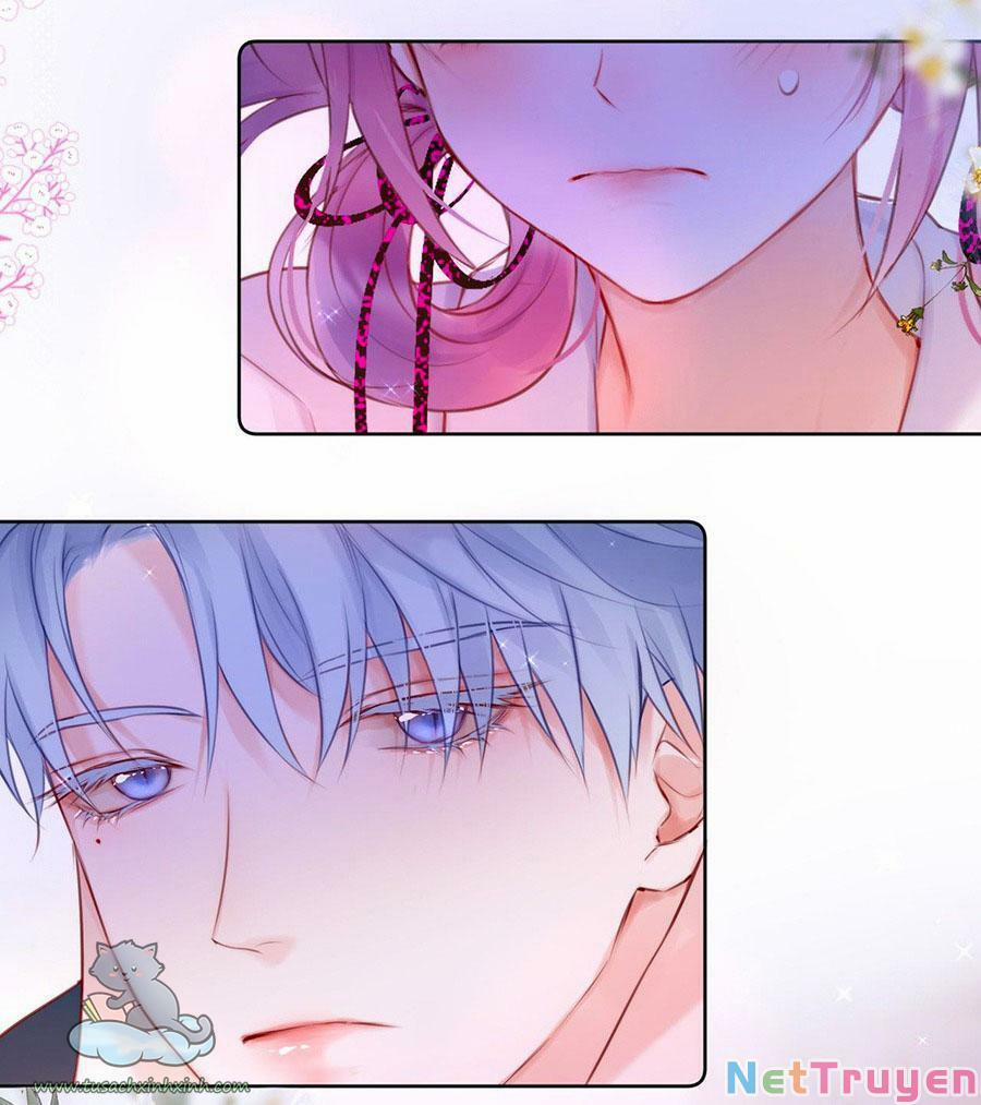 Cạm Bẫy Của Hồ Ly 17 trang 41