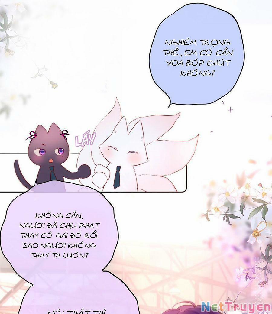 Cạm Bẫy Của Hồ Ly 17 trang 5