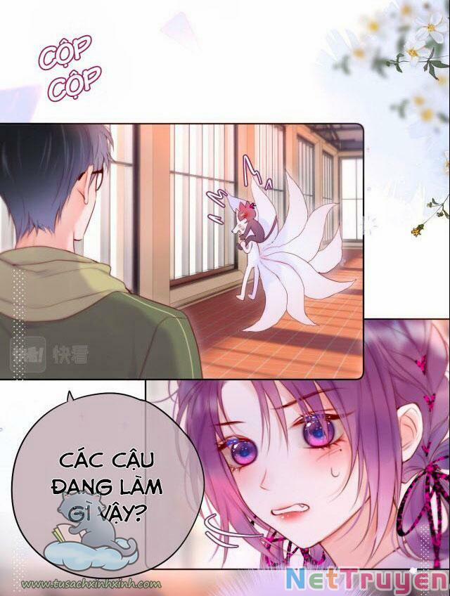 Cạm Bẫy Của Hồ Ly 18 trang 5