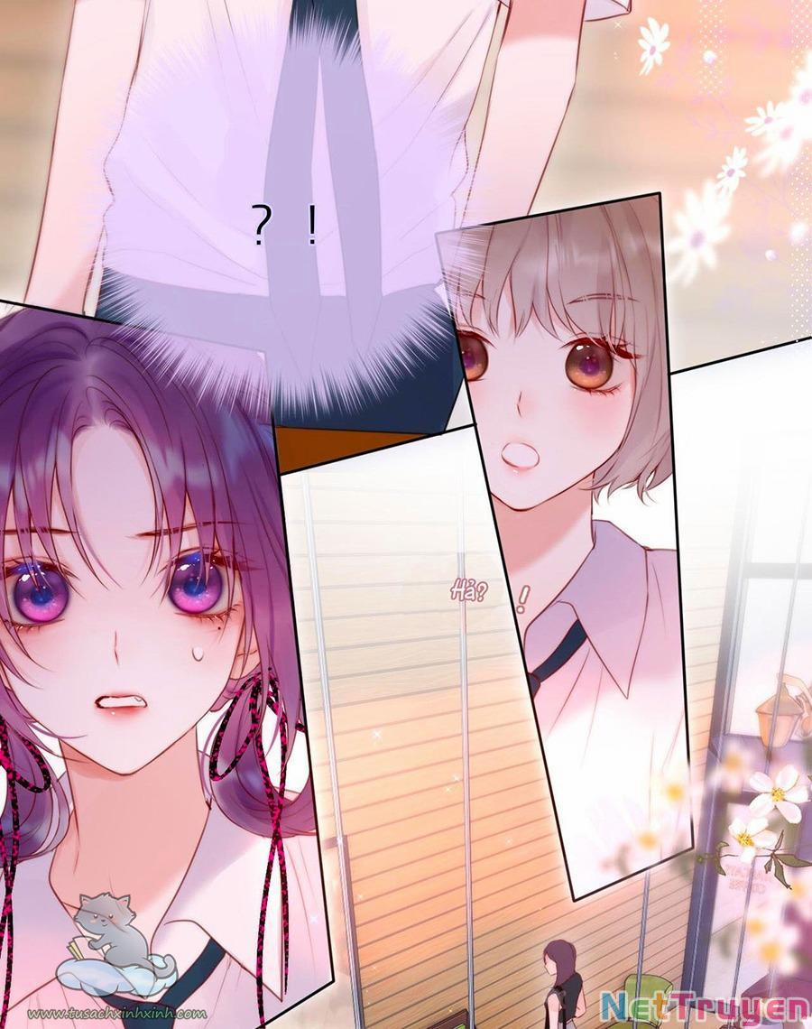 Cạm Bẫy Của Hồ Ly 19 trang 11