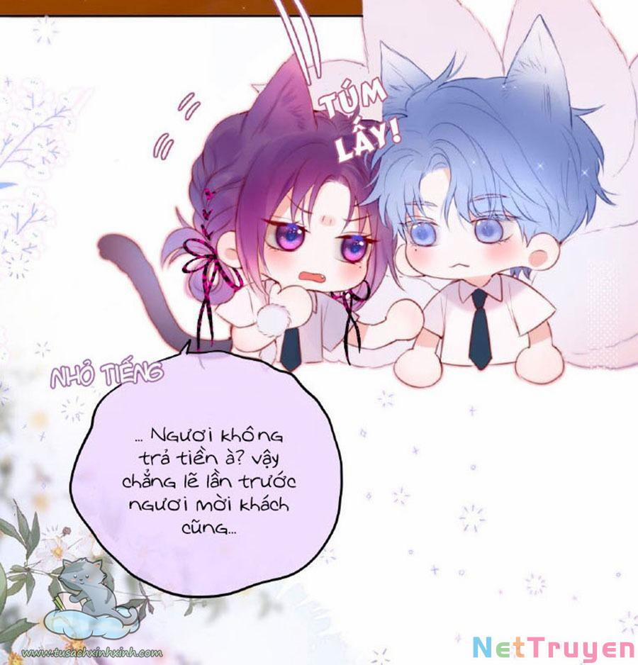 Cạm Bẫy Của Hồ Ly 19 trang 6