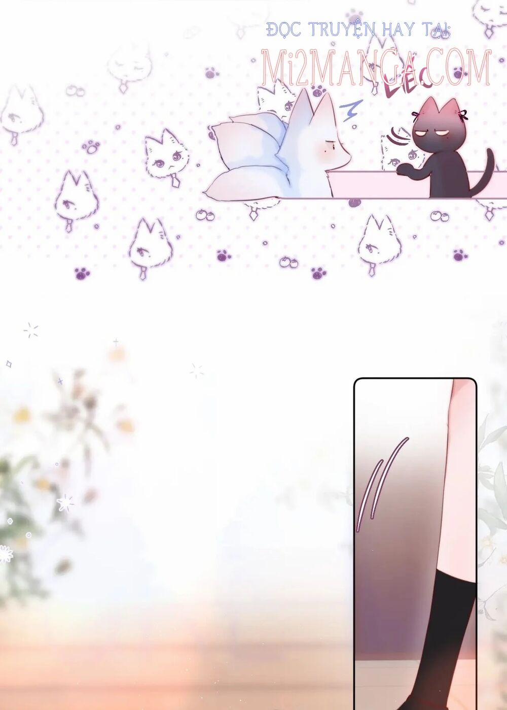 Cạm Bẫy Của Hồ Ly 20 trang 11