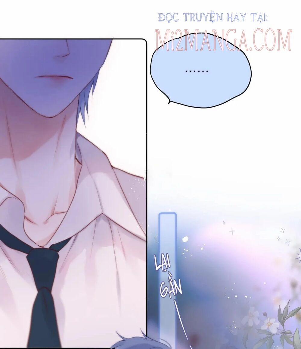 Cạm Bẫy Của Hồ Ly 20 trang 19