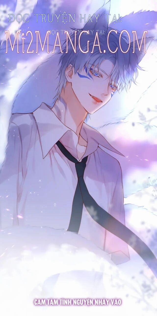 Cạm Bẫy Của Hồ Ly 20 trang 6