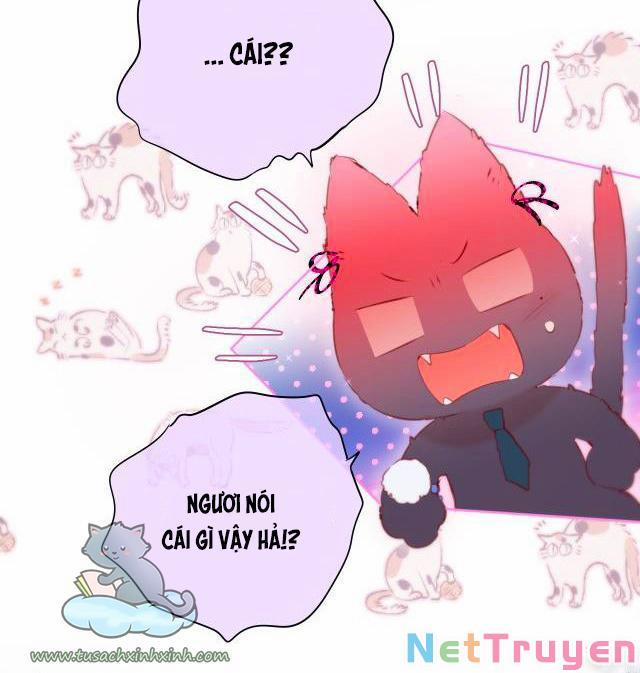 Cạm Bẫy Của Hồ Ly 22 trang 11