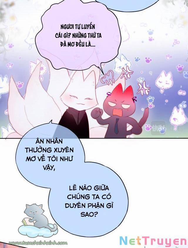 Cạm Bẫy Của Hồ Ly 22 trang 13