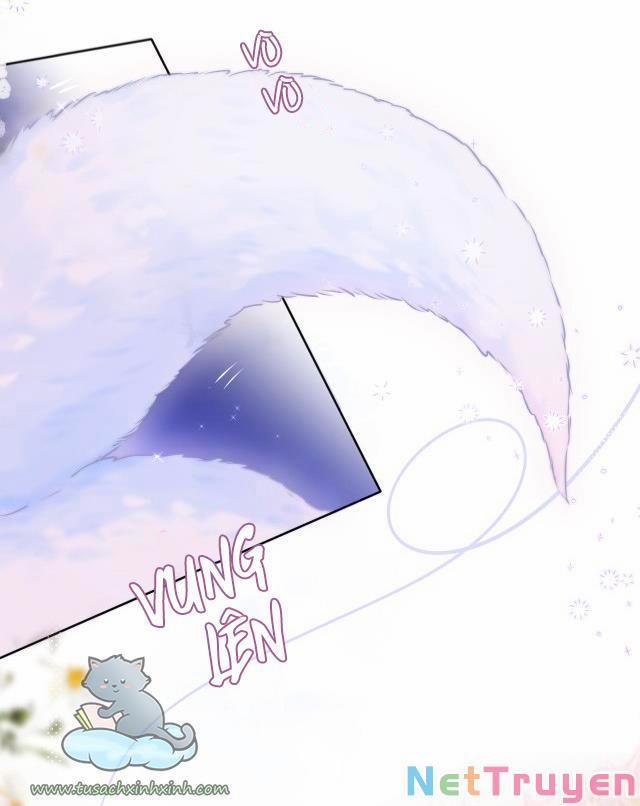 Cạm Bẫy Của Hồ Ly 22 trang 17