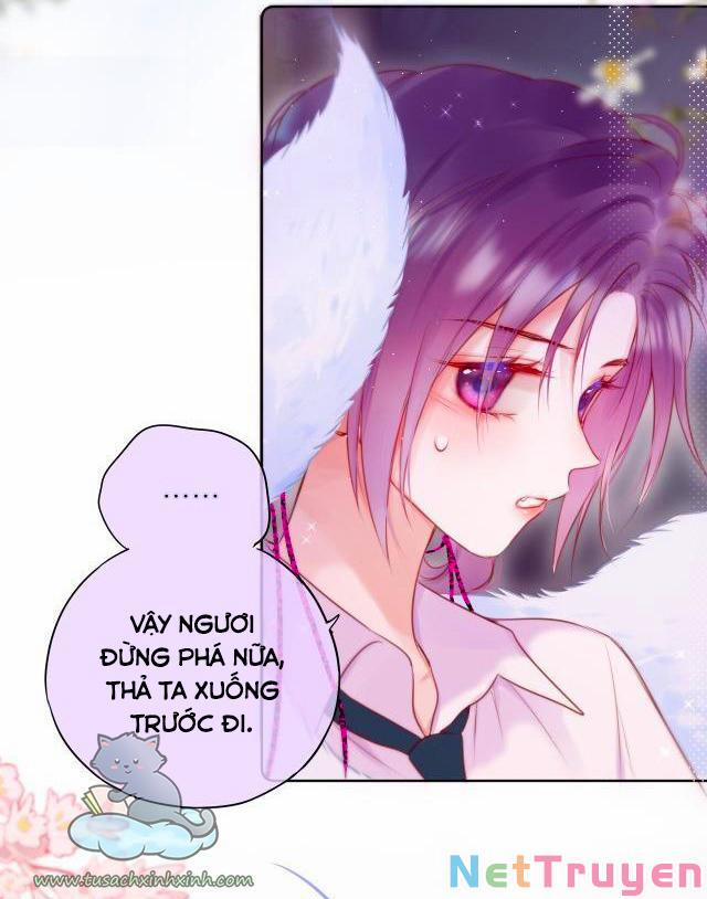 Cạm Bẫy Của Hồ Ly 22 trang 23