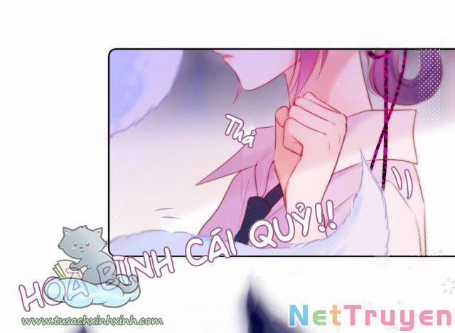 Cạm Bẫy Của Hồ Ly 22 trang 25