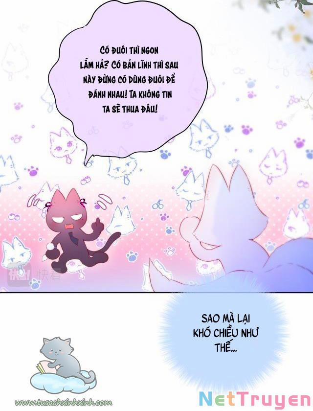 Cạm Bẫy Của Hồ Ly 22 trang 28