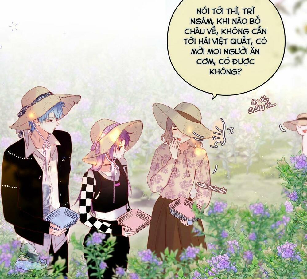 Cạm Bẫy Của Hồ Ly 23 trang 15