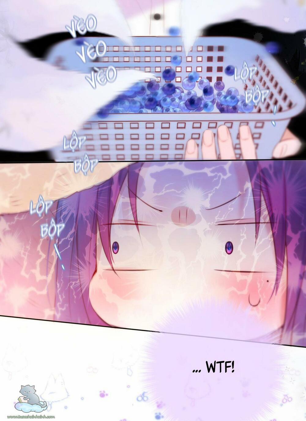 Cạm Bẫy Của Hồ Ly 23 trang 25