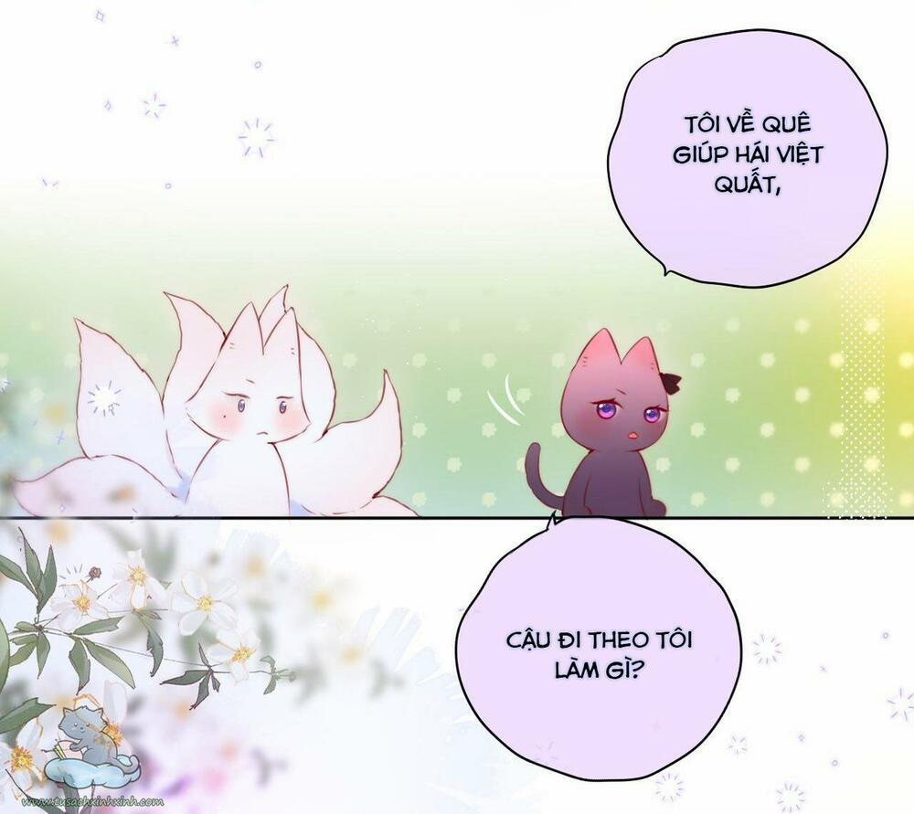 Cạm Bẫy Của Hồ Ly 23 trang 7