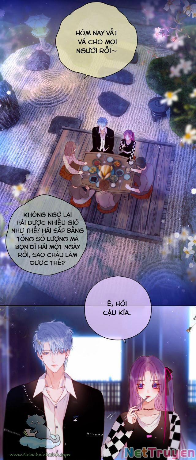 Cạm Bẫy Của Hồ Ly 24 trang 2