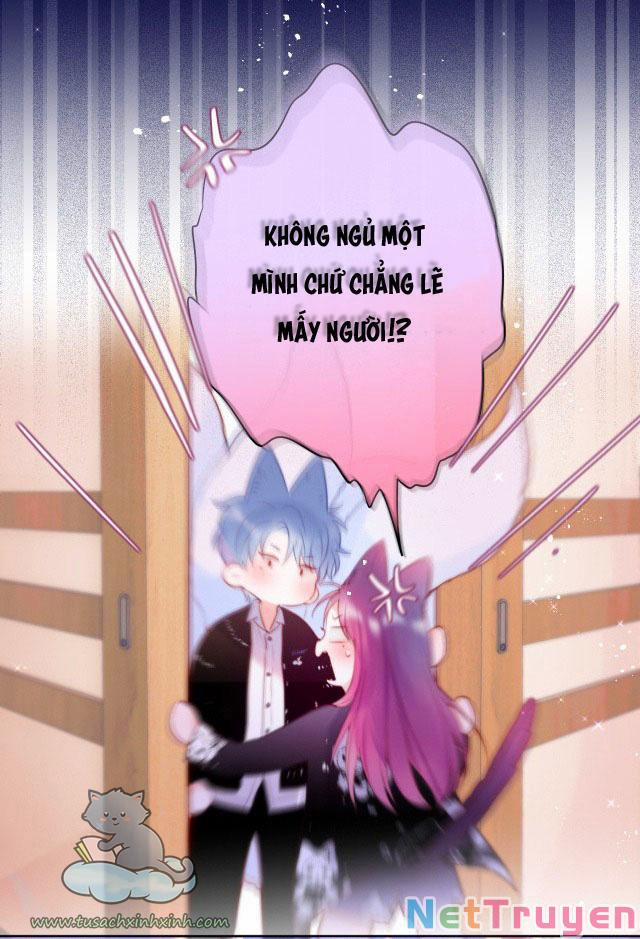 Cạm Bẫy Của Hồ Ly 24 trang 26