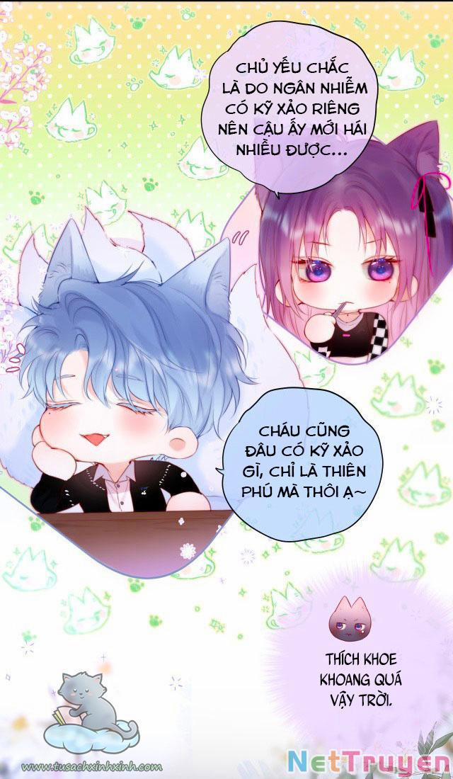 Cạm Bẫy Của Hồ Ly 24 trang 3