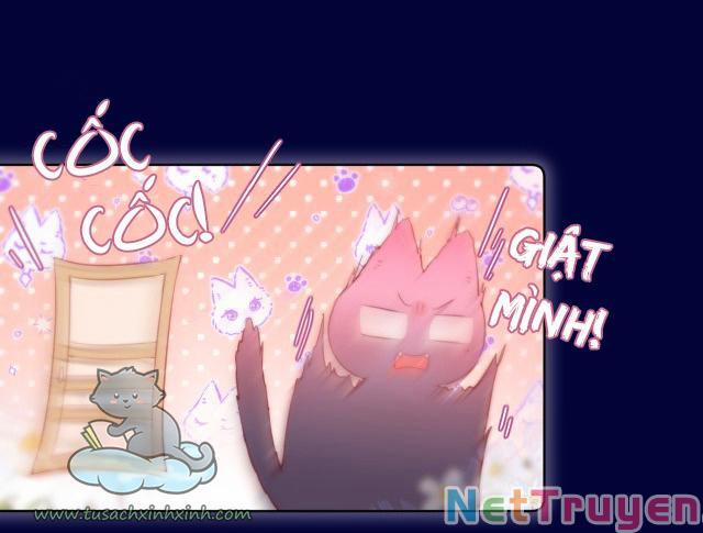 Cạm Bẫy Của Hồ Ly 24 trang 9