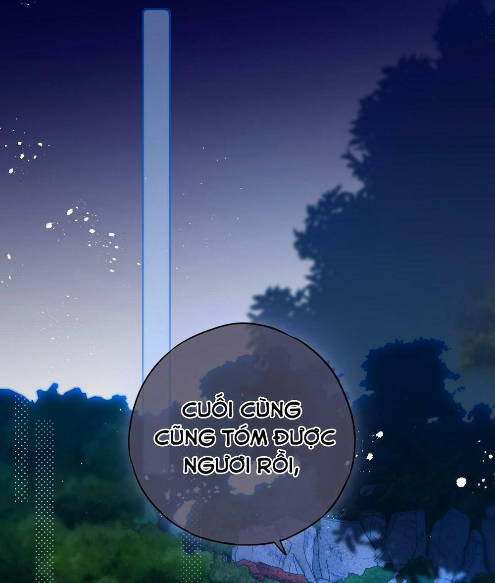 Cạm Bẫy Của Hồ Ly 25 trang 27