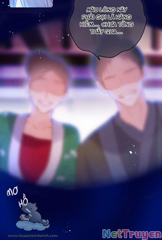 Cạm Bẫy Của Hồ Ly 26 trang 41