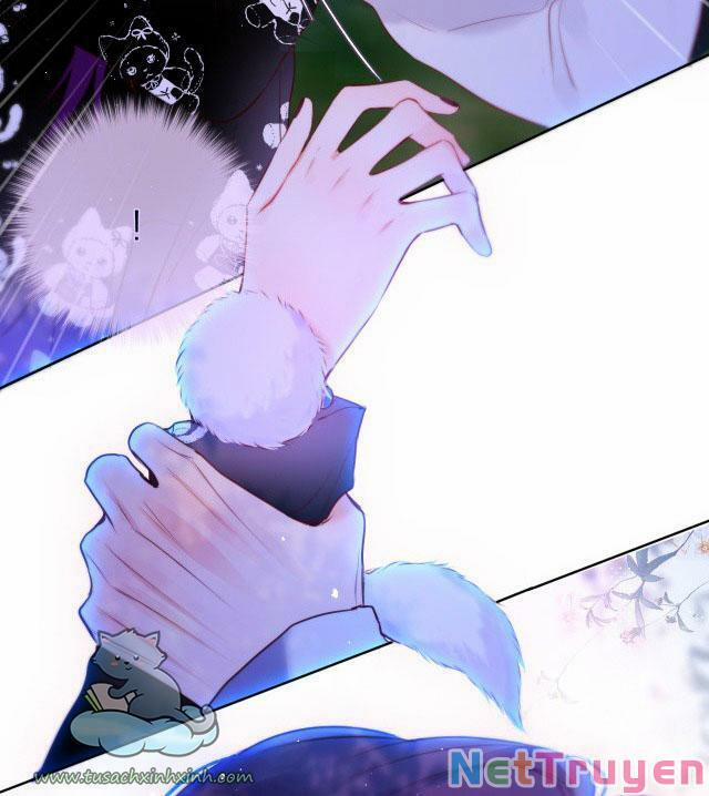 Cạm Bẫy Của Hồ Ly 26 trang 5