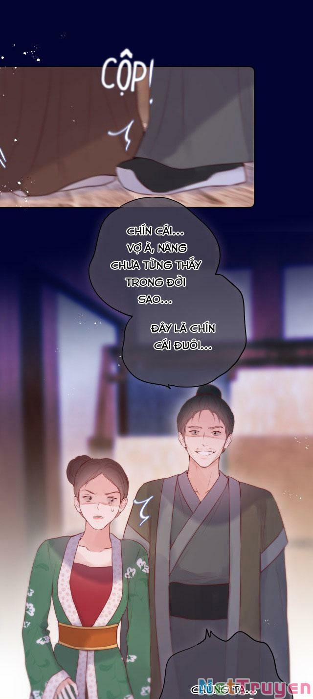 Cạm Bẫy Của Hồ Ly 27 trang 16