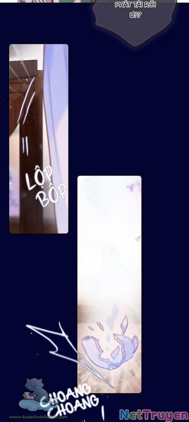 Cạm Bẫy Của Hồ Ly 27 trang 17