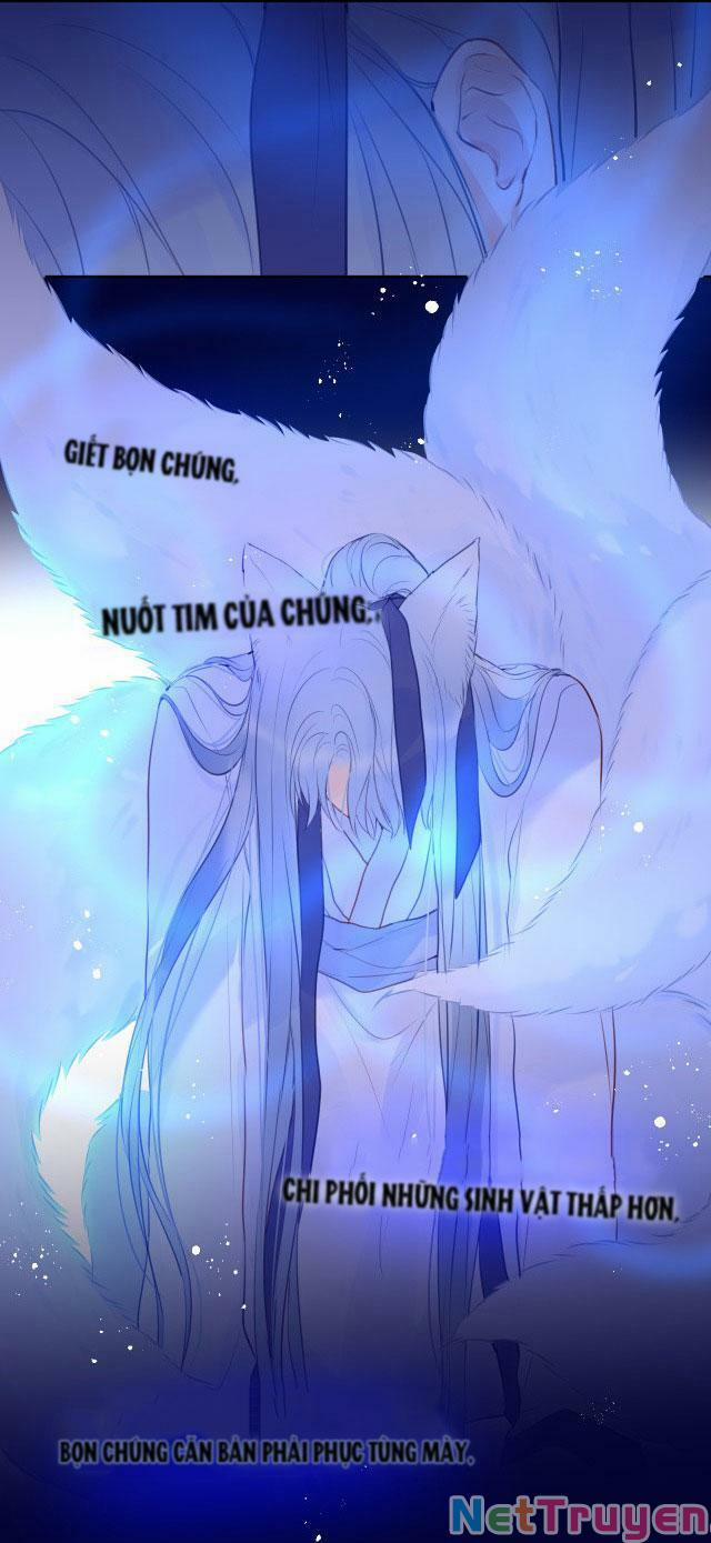 Cạm Bẫy Của Hồ Ly 27 trang 24