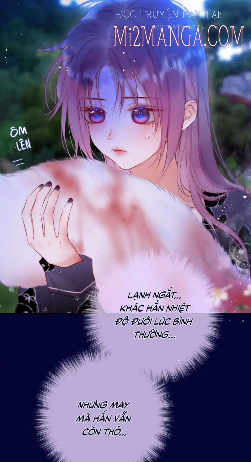 Cạm Bẫy Của Hồ Ly 28.5 trang 1