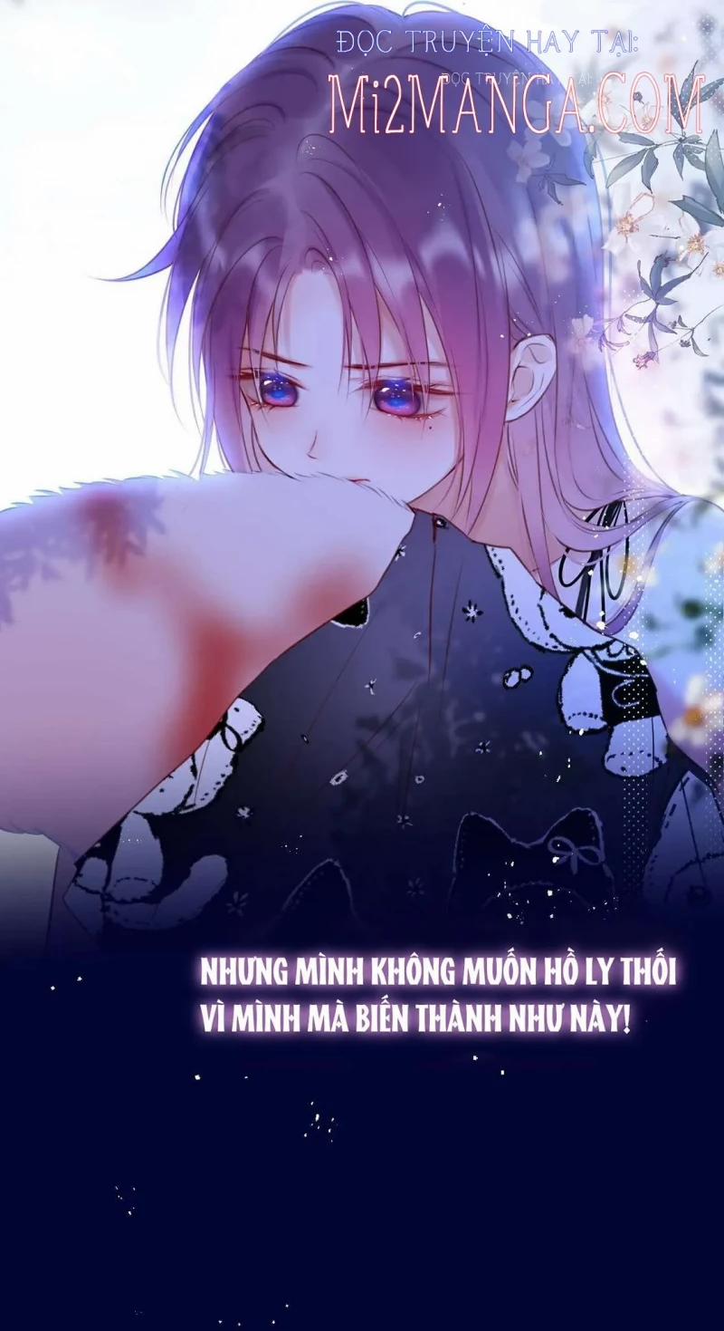 Cạm Bẫy Của Hồ Ly 28.5 trang 12