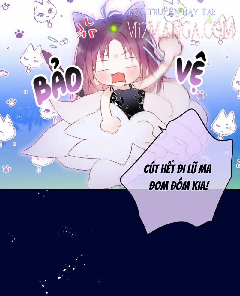 Cạm Bẫy Của Hồ Ly 28.5 trang 17