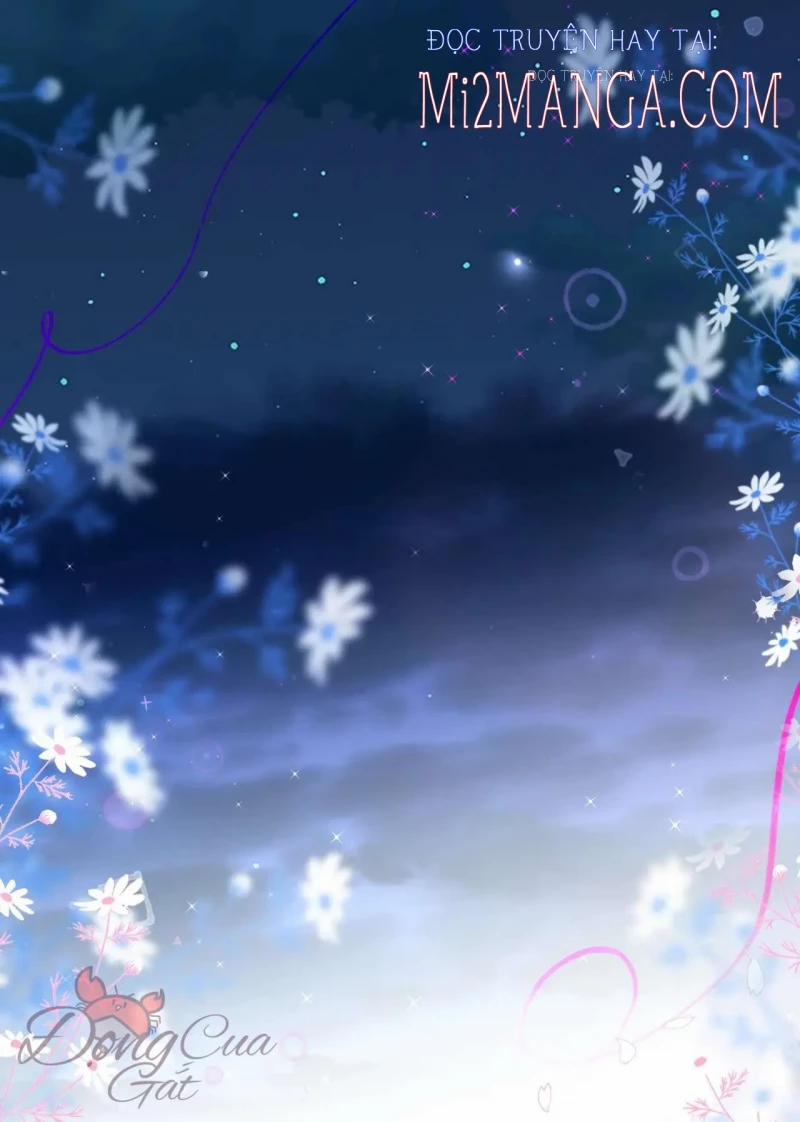 Cạm Bẫy Của Hồ Ly 28 trang 1