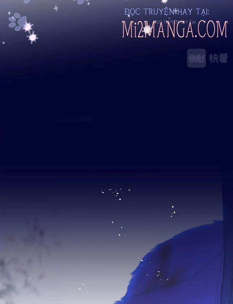 Cạm Bẫy Của Hồ Ly 28 trang 3