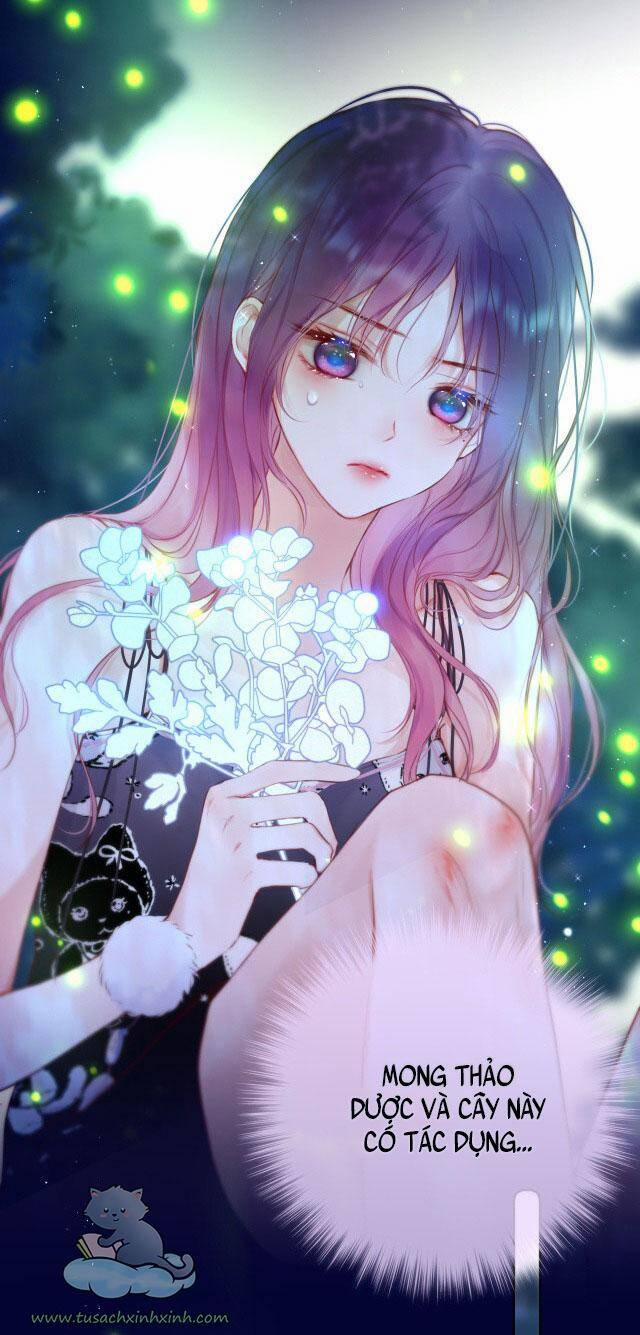 Cạm Bẫy Của Hồ Ly 29 trang 19