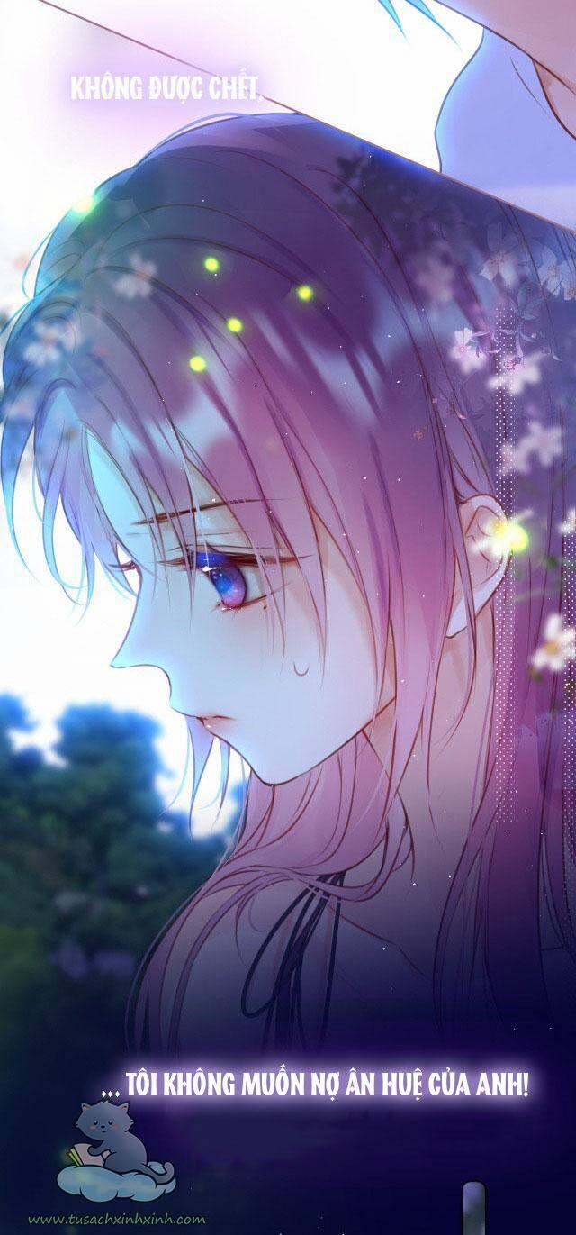 Cạm Bẫy Của Hồ Ly 29 trang 24