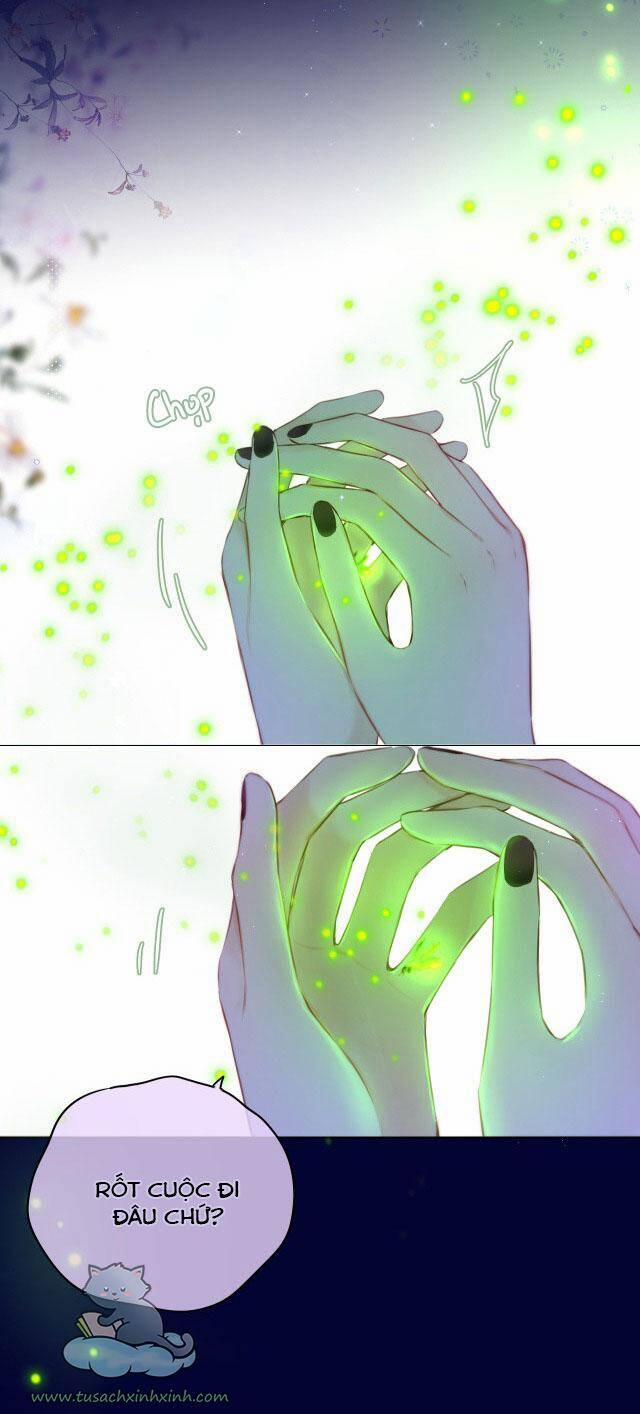 Cạm Bẫy Của Hồ Ly 29 trang 5