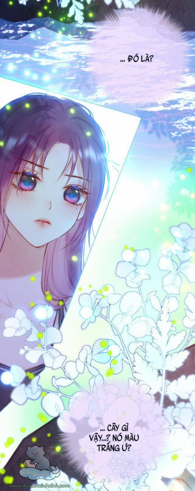 Cạm Bẫy Của Hồ Ly 29 trang 7