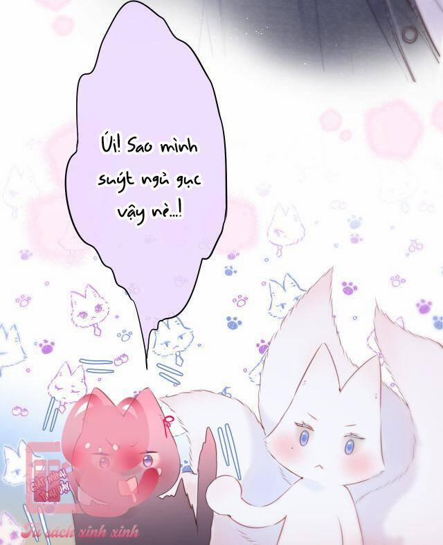 Cạm Bẫy Của Hồ Ly 35 trang 20