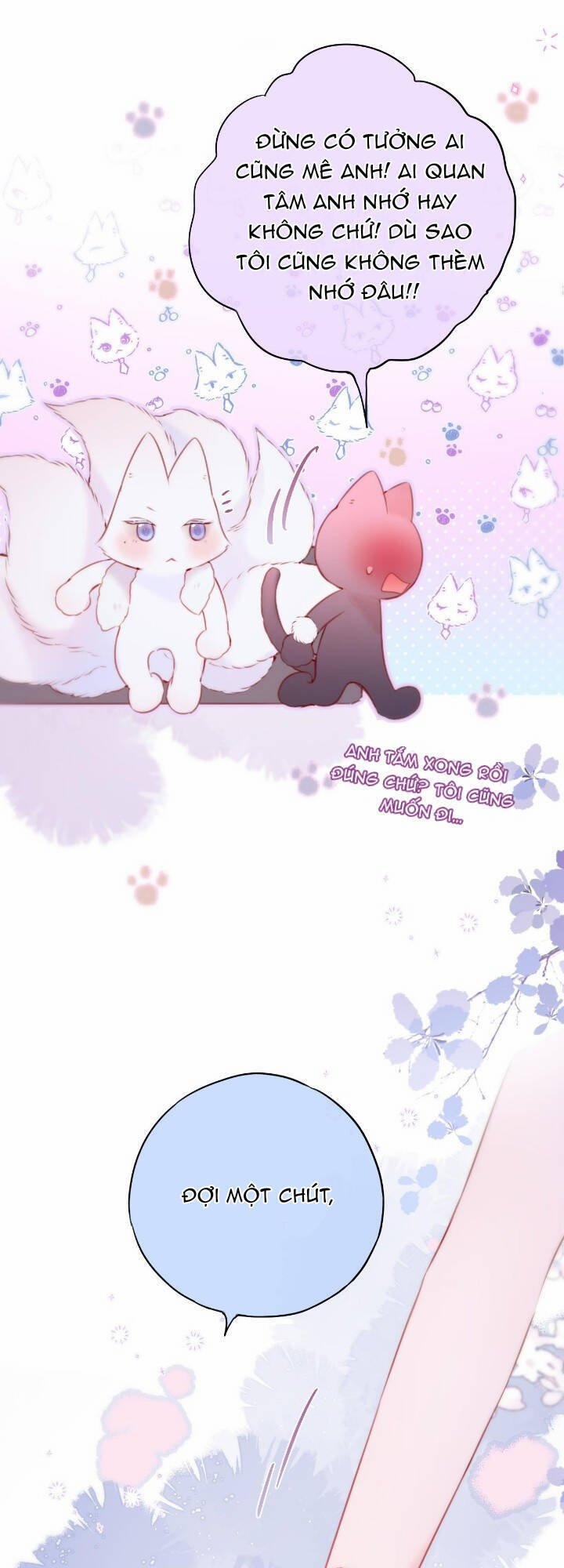 Cạm Bẫy Của Hồ Ly 36 trang 13