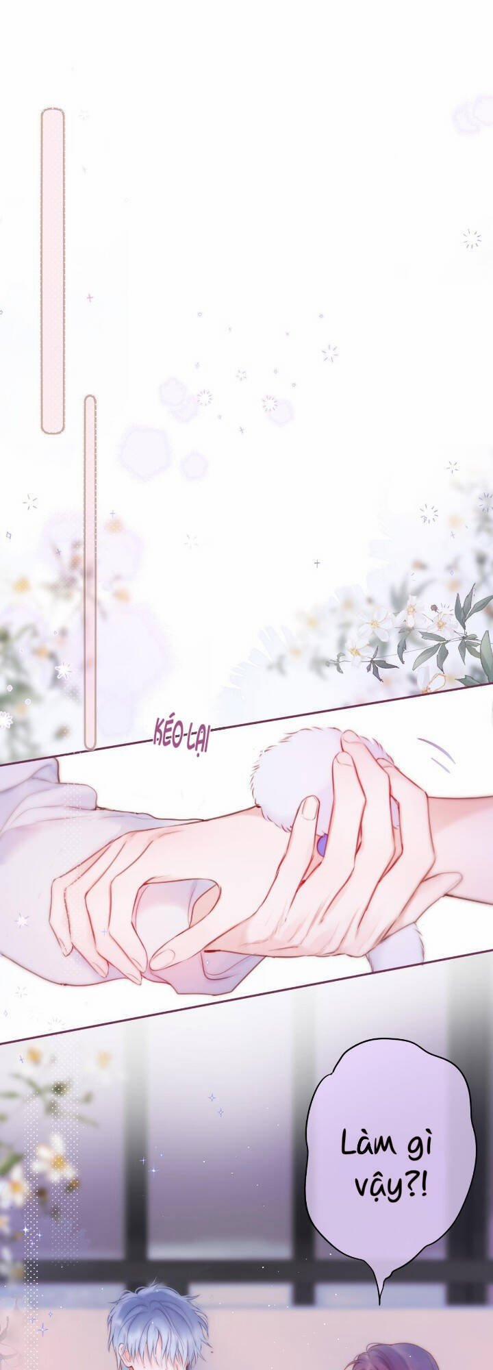 Cạm Bẫy Của Hồ Ly 36 trang 17